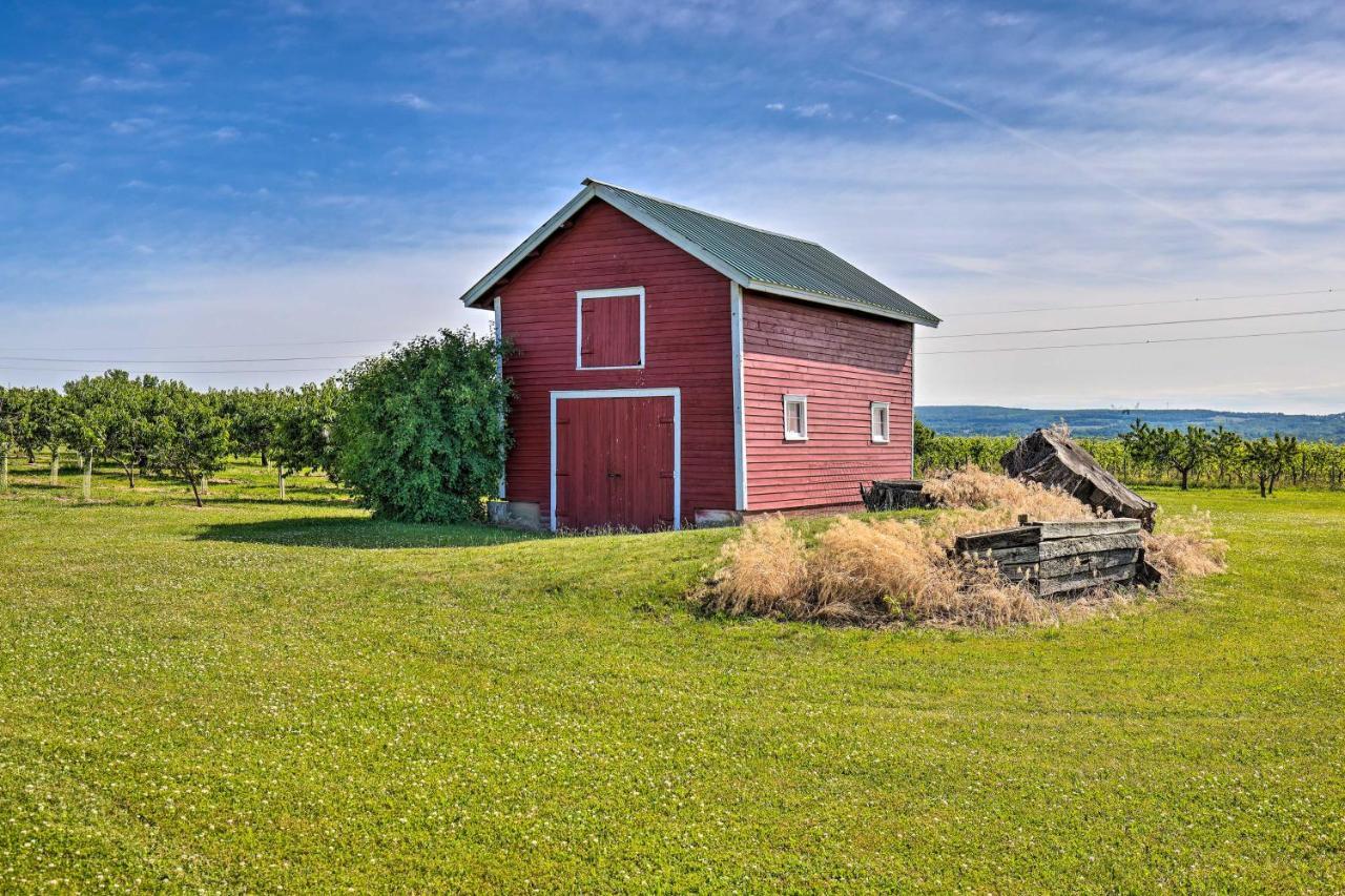 Finger Lakes Farm Retreat Walk To Wineries! Hector Kültér fotó
