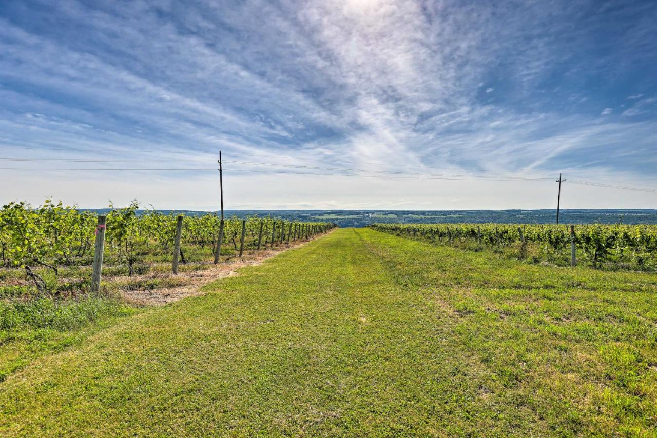Finger Lakes Farm Retreat Walk To Wineries! Hector Kültér fotó